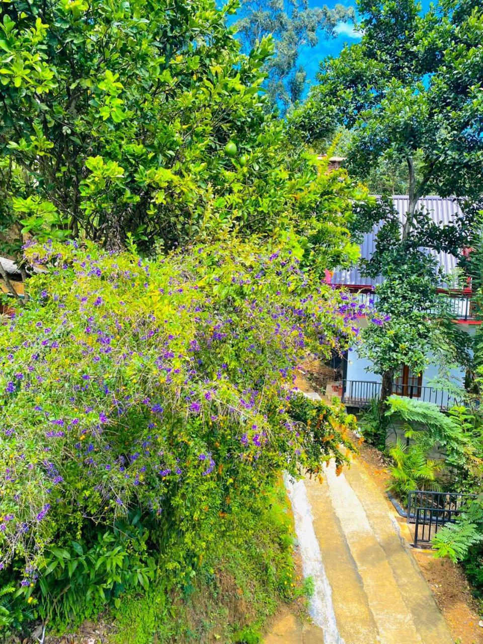 Cloudy Hill Cottage Ella Luaran gambar