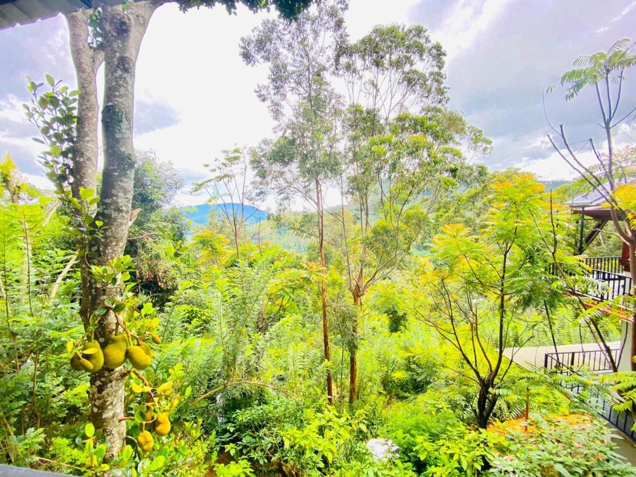 Cloudy Hill Cottage Ella Luaran gambar